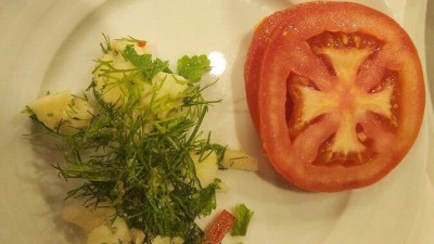 독일물을 먹고 자란 토마토