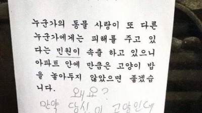 만약 당신이 고양이인데