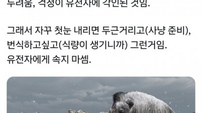 첫 눈이 오면 괜히 두근거리는 이유