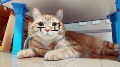 무용수들의 스트레칭