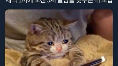 새벽 1시에 오전 5시 알람을 맞추는 내 모습