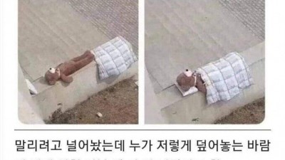 친절이 부른 대참사