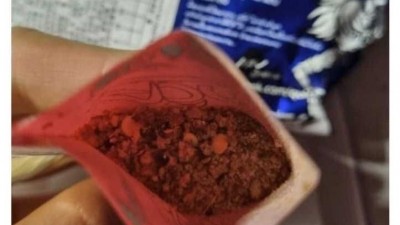 광기의 식물갤