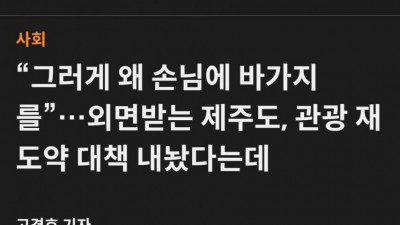 드디어 밝혀진 국내 여행객 감소의 원인 jpg