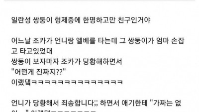쌍둥이 친구를 본 유치원생 조카의 반응