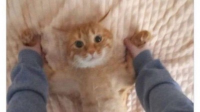너 나 좋아하잖아