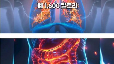 사람을 먹었을때 몇 칼로리를 충당할 수 있을까