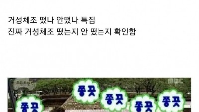 예능 레전드 2007년 무한도전