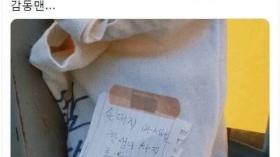 버스정류장에 두고 온 에코백