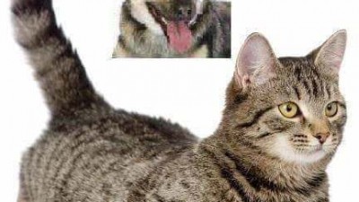 장난으로 시작한 합성사진이.jpg