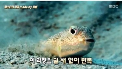 바닷속에 생긴 미스터리 서클.
