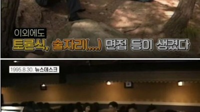 90년대 취업 세태.