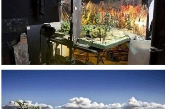 배경화면의 진실.