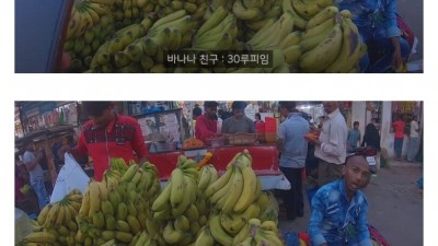 인도의 바나나 가격.