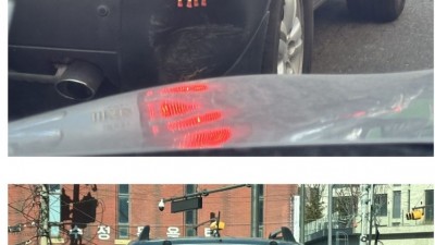 진짜가 나타났다!