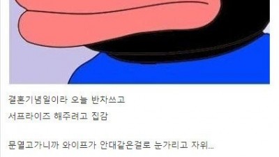  서프라이즈 해주려다 와이프 자위 목격한 디시인 ㄷㄷㄷ