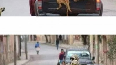  얼떨결에 입대.