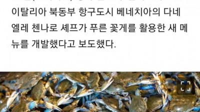  이탈리아 근황