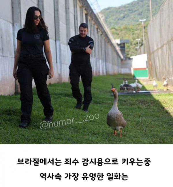 1090285700_KQ876nvU_1729818536.png