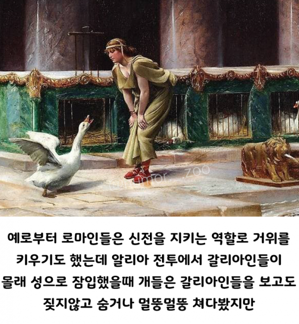 1090285700_ON2JtMmU_1729818537.png