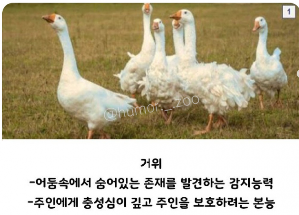 1090285700_YSO9op3B_1729818536.png