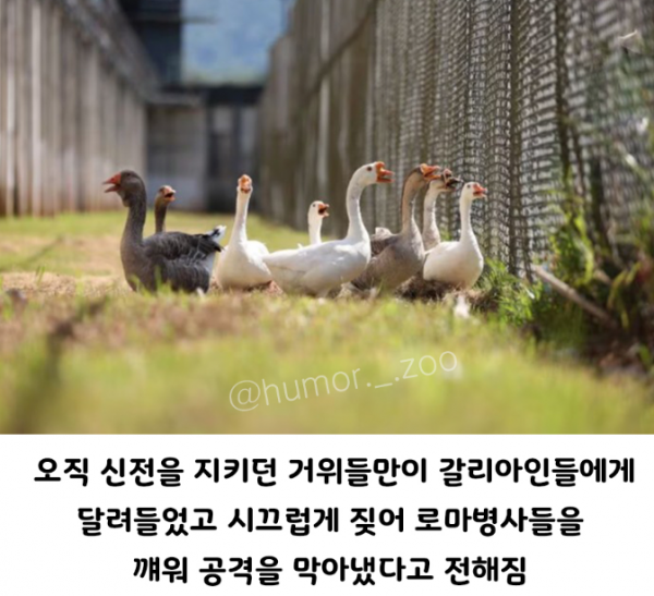 1090285700_dYkEDlAB_1729818537.png