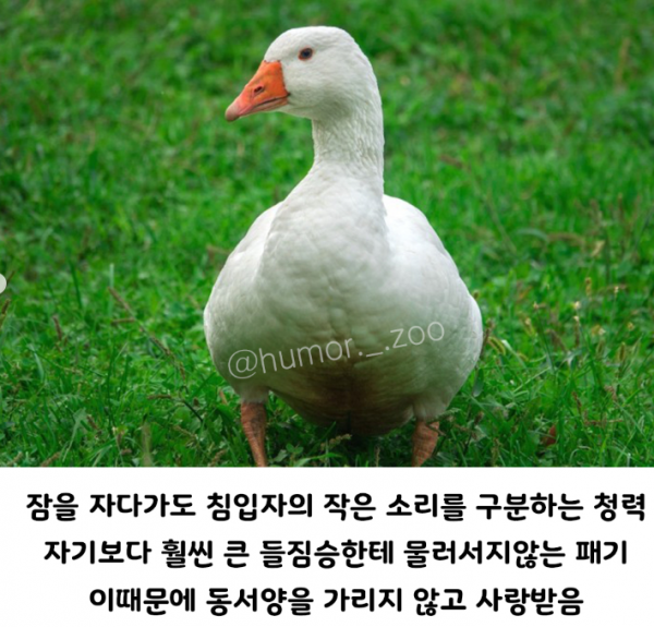 1090285700_s1kr3Zvy_1729818536.png