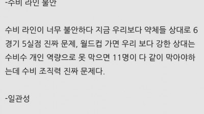 이영표 일침: 이번 월드컵 홍명보 축구팀은 망했다