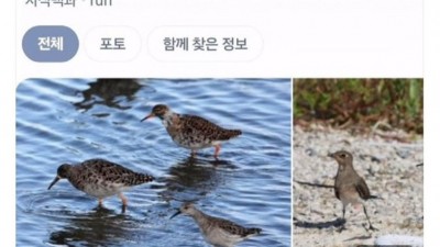 여러분 추워요 겉옷 따듯하게 입으세요