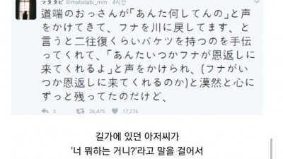 붕어를 도와줬던 일본여자