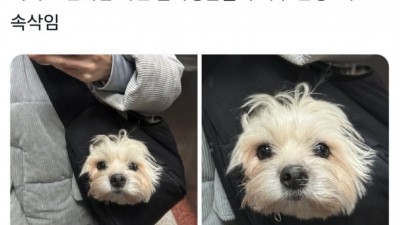 편의점 직원에게 인사 꼬박꼬박 받는 방법
