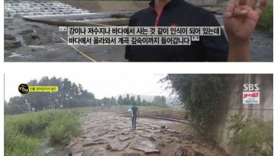 달인이 알려주는 장어의 효능