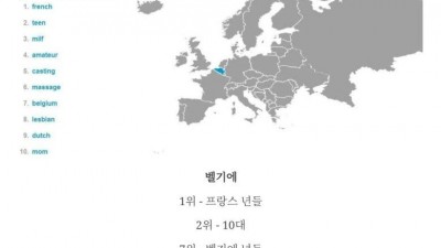세계 각국의 야동 검색어 순위