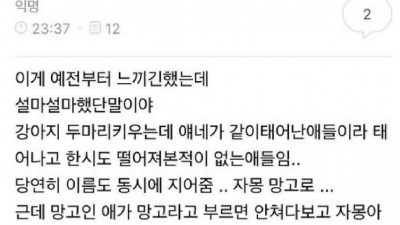 아무래도 강아지가 이름을 잘못 알고 있는거같음