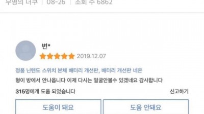 닌텐도 스위치 후기
