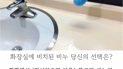 고전] 화장실에 비치된 비누 당신의 선택은?