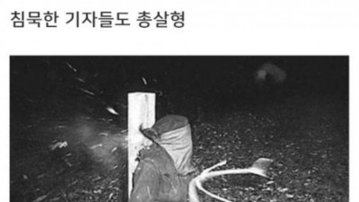          		          		  프랑스의 나치부역자 처단                    &lt;img src=/img/super_good_icon_v2.svg alt='찐추' style='width:tical-