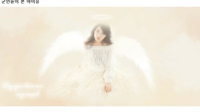 사람들이 아이유를 보는 시각.