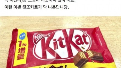 일본 수험생 응원 선물