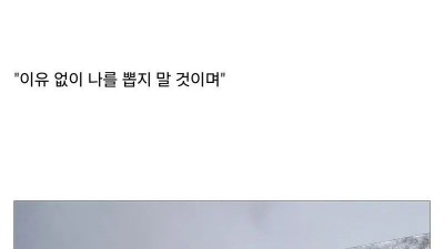 간지나는 펜싱검 문구