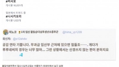 일본 트위터에서 난리난 무과금임산부