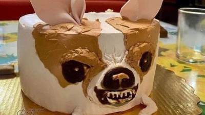 너무 현실적인 치와와 케?
