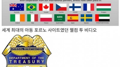 미국 국세청이 무서운 이유...