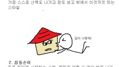 집순이 유형