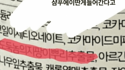 의외로 연금술 재료가 아닌거.jpg