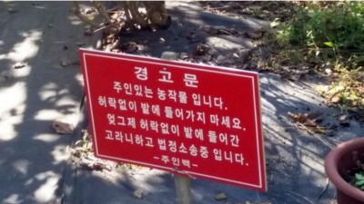 소송중이라는 밭 주인