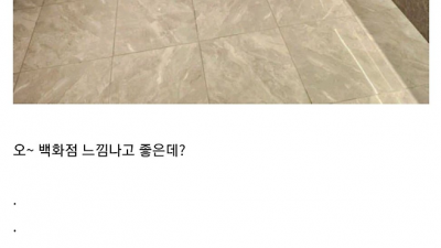 요즘 중국 화장실근황