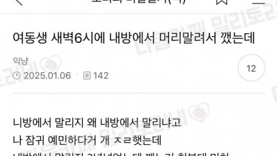 동생이 새벽 6시에 내 방에서 머리 말려서 깼는데