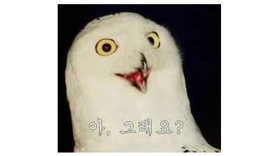 돼 vs 되   의  정리 이걸로 끗,,,,,, 아니 끝