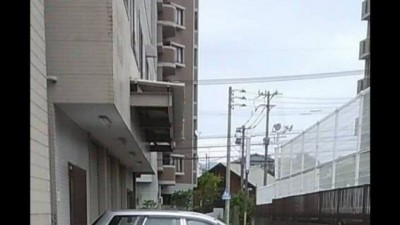 일본에서 화제인 주차 사진.